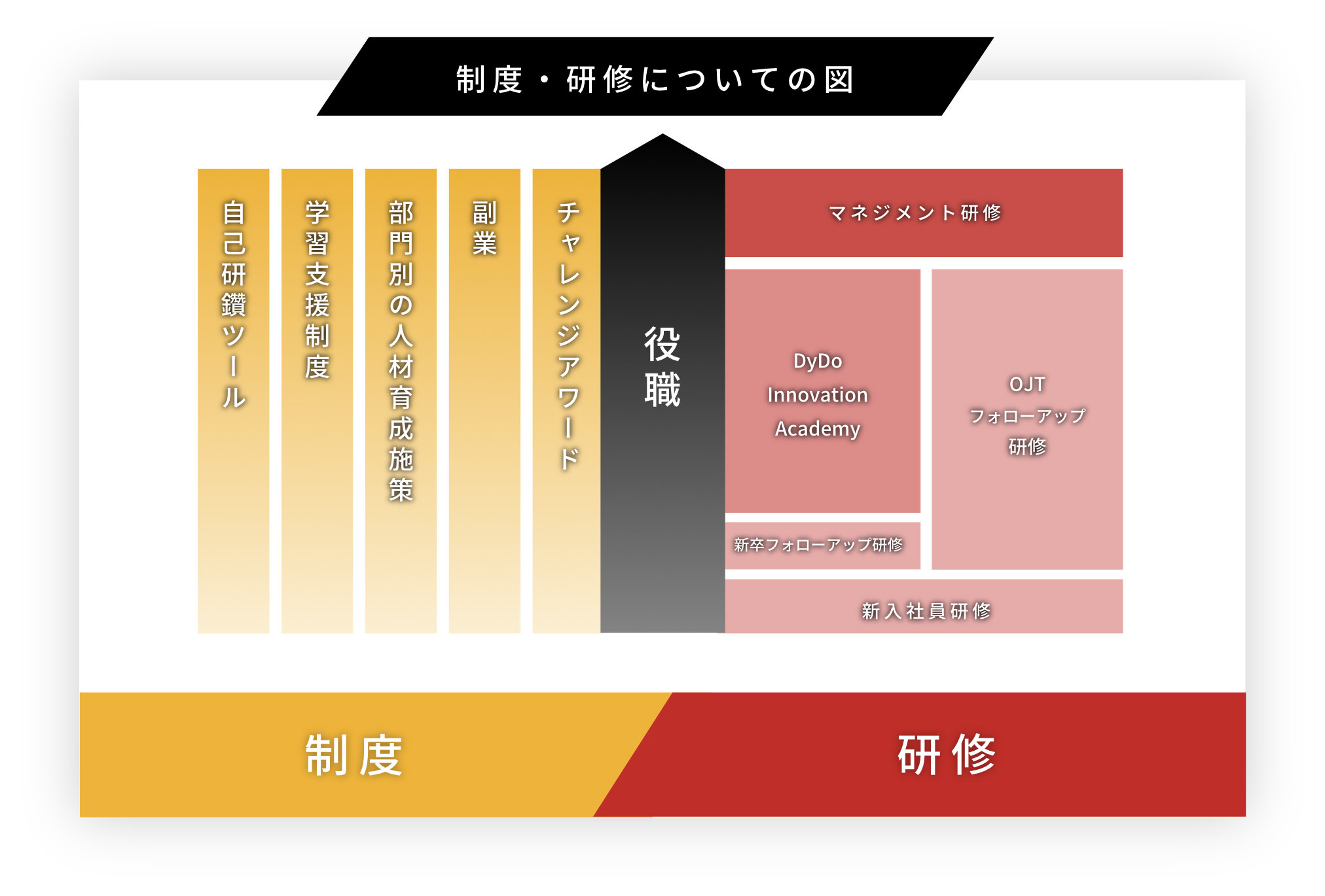 制度・研修についての図