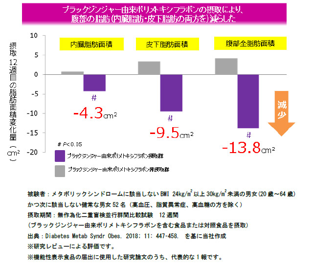 腹部の脂肪（内臓脂肪・皮下脂肪）面積変化量