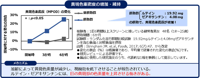 黄斑色素密度の増加・維持