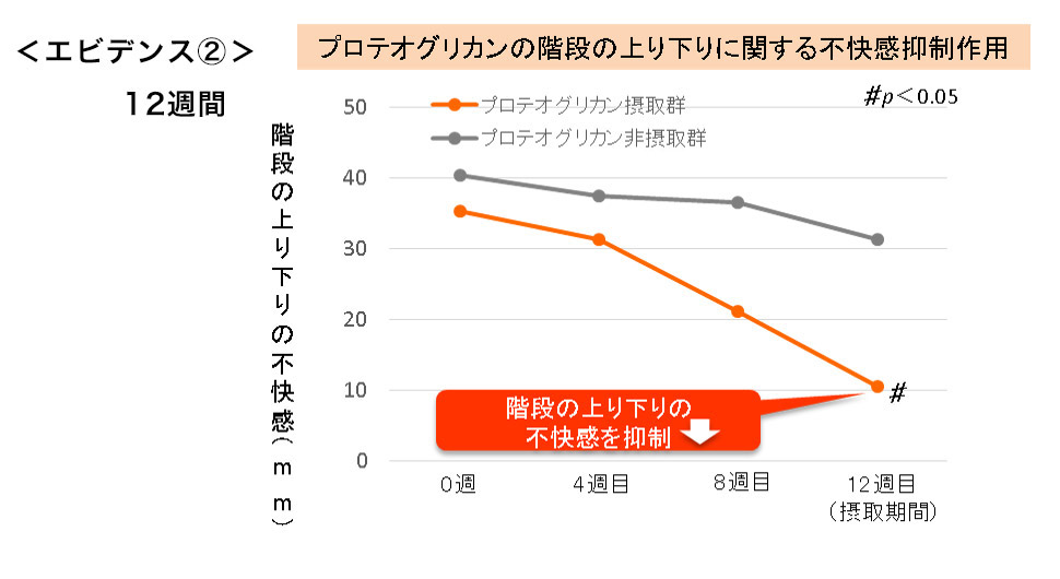 エビデンス②